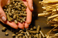 free Top Green biomass boiler quotes